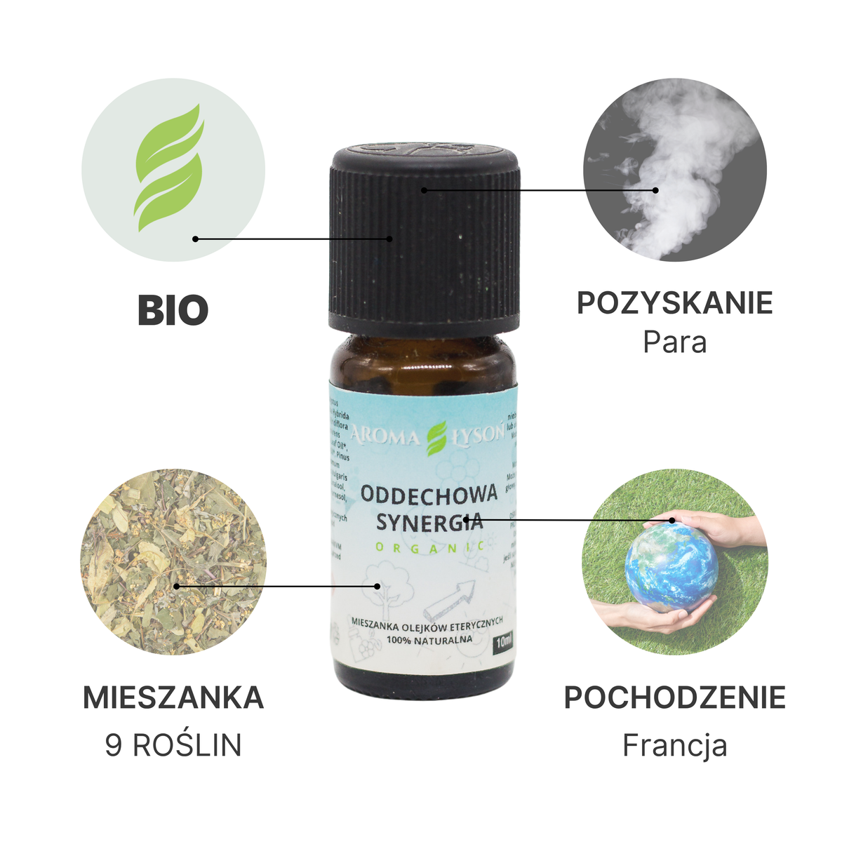 Specyfikacja mieszanki olejków eterycznych Synergia Oddechowa BIO Aroma Łysoń – pochodzenie Francja, liście i kwiaty, destylacja parą wodną, certyfikat BIO.