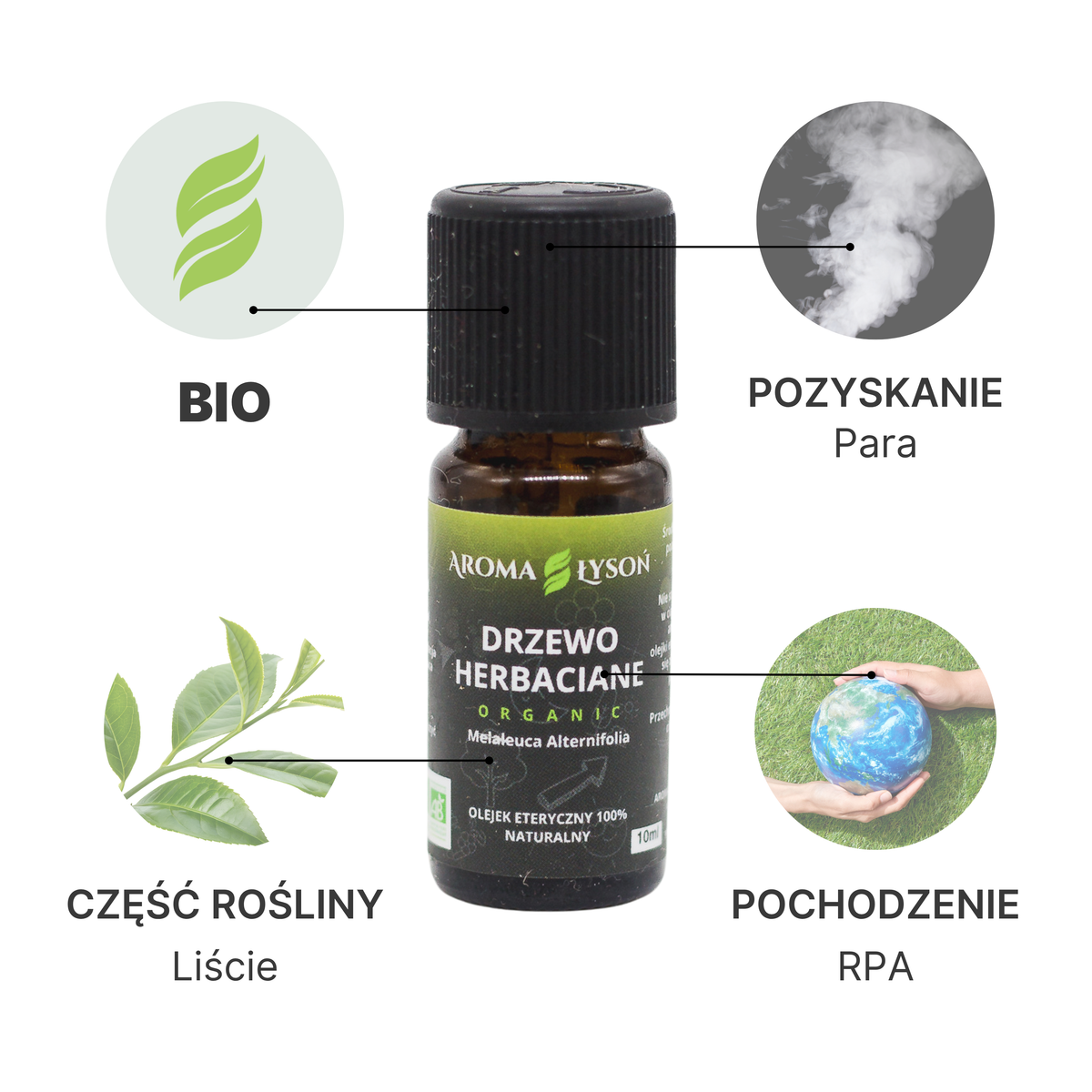 Specyfikacja olejku eterycznego drzewo herbaciane BIO Aroma Łysoń – pochodzenie RPA, kwiatostan, destylacja parą wodną, certyfikat BIO.