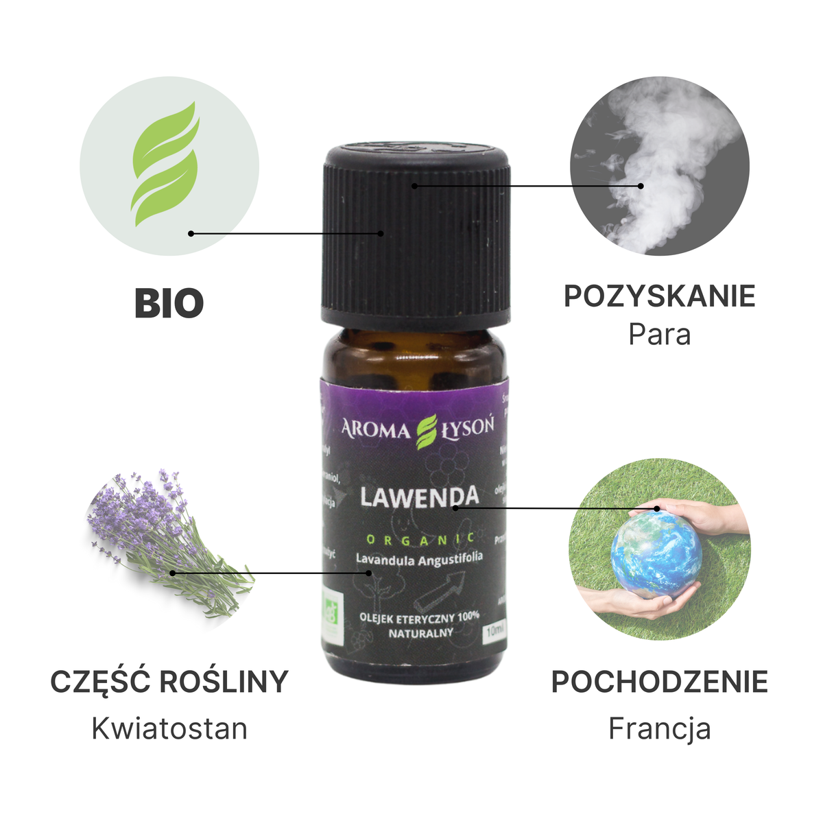 Specyfikacja olejku eterycznego lawendowego BIO Aroma Łysoń – pochodzenie Francja, kwiatostan, destylacja parą wodną, certyfikat BIO.