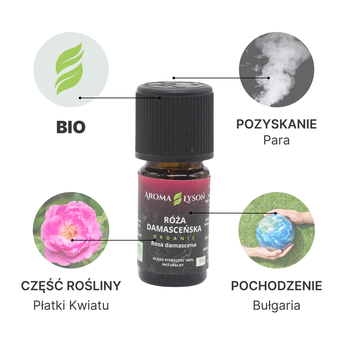 Specyfikacja olejku eterycznego z Róży Damasceńskiej BIO Aroma Łysoń – pochodzenie Bułgaria, płatki kwiatów, destylacja parowa, certyfikat BIO.