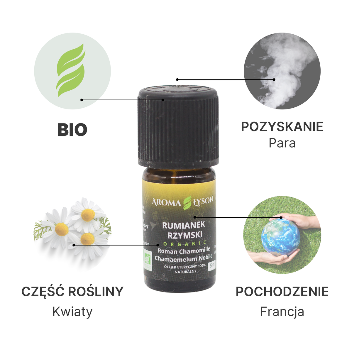 Specyfikacja olejku eterycznego Rumianek Rzymski BIO Aroma Łysoń – pochodzenie Francja, kwiaty, destylacja parowa, certyfikat BIO.