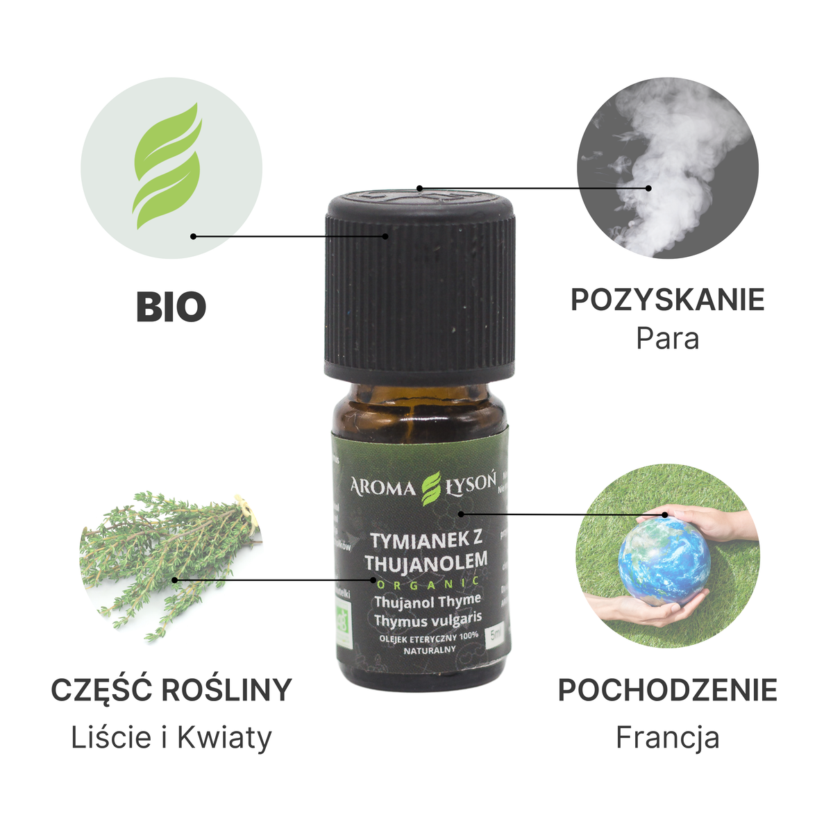 Specyfikacja olejku eterycznego tymianke z thujanolem BIO Aroma Łysoń – pochodzenie Francja, liście i kwiaty, destylacja parą wodną, certyfikat BIO.