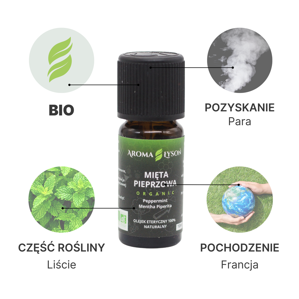 Specyfikacja olejku eterycznego z mięty pieprzowej BIO Aroma Łysoń – pochodzenie Francja, liście, destylacja parą wodną, certyfikat BIO.